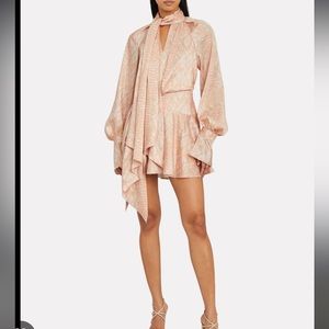 Acler Bradley dress brand new!